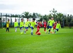 法国队主帅,执教记录更,德尚,皇冠体育,CROWN,SPORTS,皇冠体育网址,皇冠体育app,皇冠体育官网,皇冠体育集团