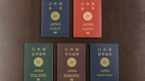 科莫签下塞内加尔归化球员迪奥与兰斯门将迪乌夫，转会费合计900万欧。