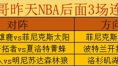 篮球赛事分析：太阳与黄蜂对决深度解读