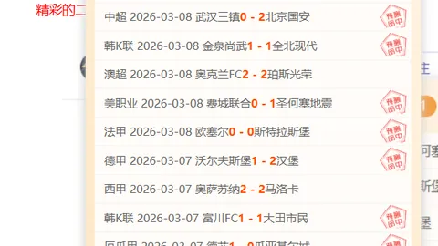 武磊2025：足球征途的悲喜篇章